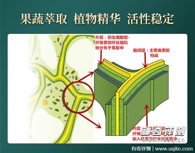 超微化果蔬膳食纤维常青通中国发明专利