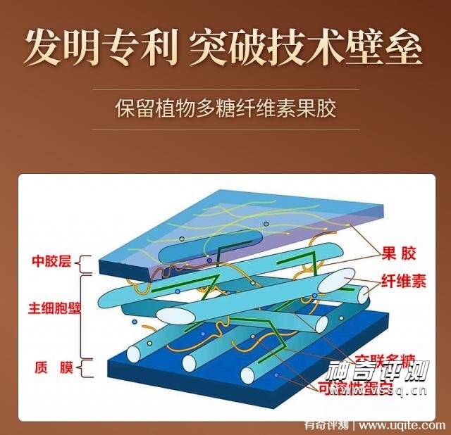 超微化果蔬膳食纤维常青通中国发明专利