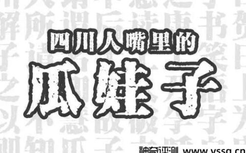 四川话瓜娃子是骂人吗 傻孩子的意思