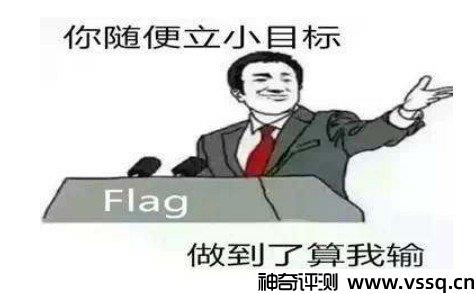 flag是什么意思网络用语 旗帜/网络用语/c语言