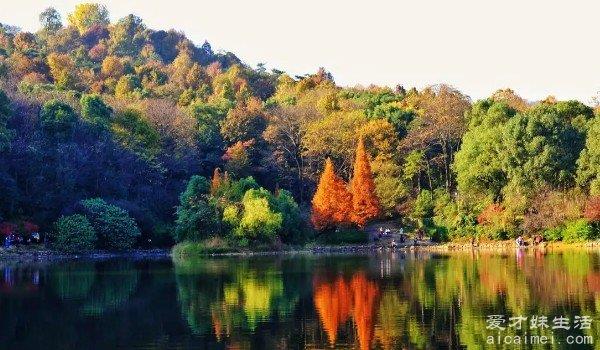 湖南旅游必去十大景点推荐 衡山排名第四(是国家5A级景区)