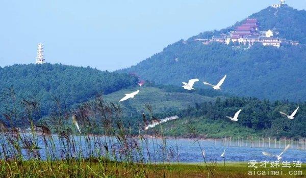 湖州旅游必去十大景点推荐