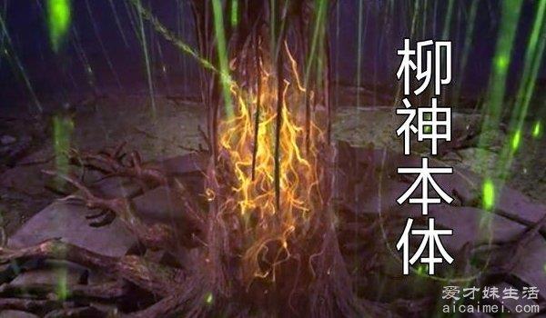 完美世界中石昊为什么杀柳神 柳神的死和石昊无关