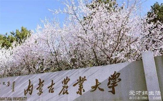 中国最大的大学 台湾大学相当于86个清华(附前十榜单)