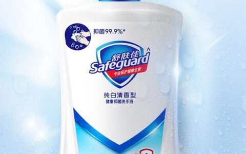 洗手液排名前十的品牌有哪些？