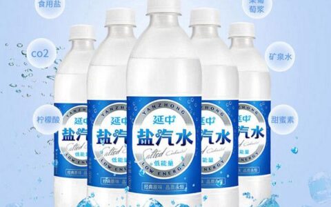 盐汽水品牌排行榜前十名 哪个品牌的盐汽水最好