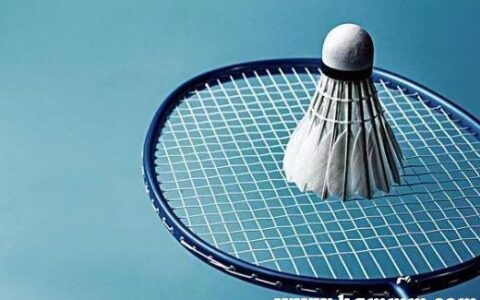 熏风球拍：日本品牌的羽毛球球拍，却有较大的缺点