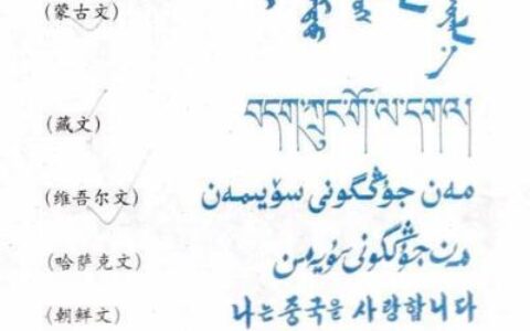 中国有56个民族，不少民族都有自己的民族文字，你知道几个？