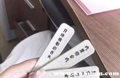 部分钟薛高棒签文案：只给挑剔的舌头，苦至极方甜