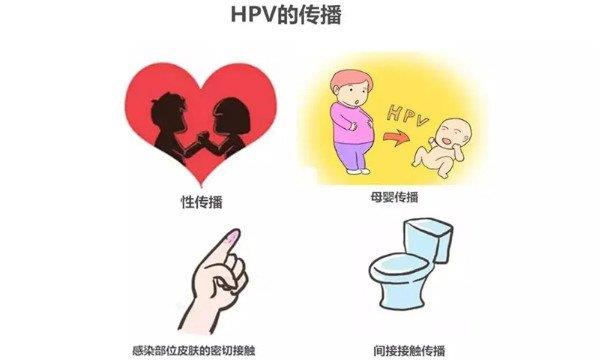 医生提醒：尽量不要和癌症患者密切接触，这3种癌症会传染