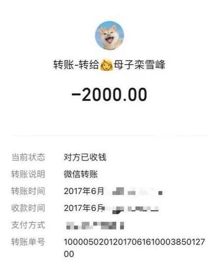 自己家人转账20万会查吗？